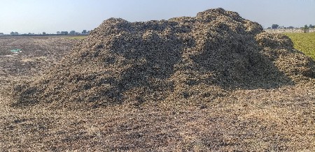 જી20 માંડવી ભૂકો 15 વીઘાનો વેચવાનો