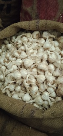 લસણ  વેચવાનું છે