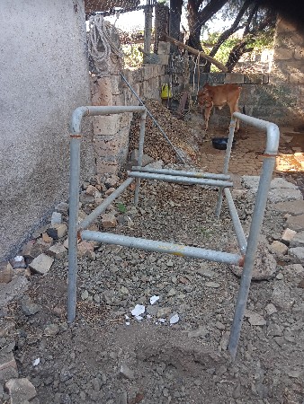 ગાય દોવા માટે પાંજરૂ