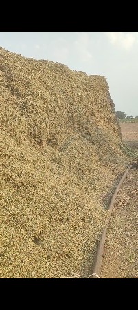 ભુકો વેચવાનો હે ઓપનરનો કાઢેલ છે