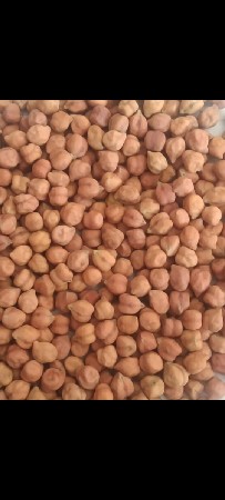 મો 9687336591
