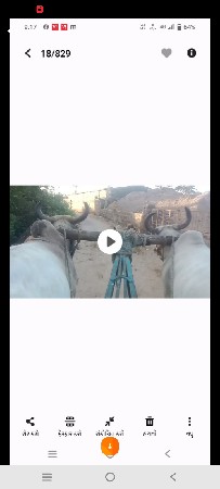 બળદ વેચવાના છે