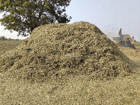 ભુકો વેચવા નો છે.