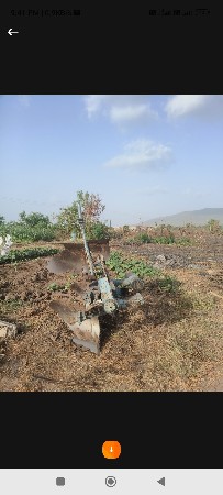 ચાવડા
