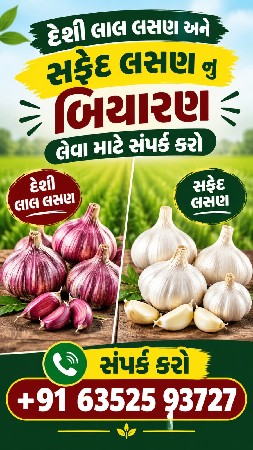 લસણ વેચવાનું છે