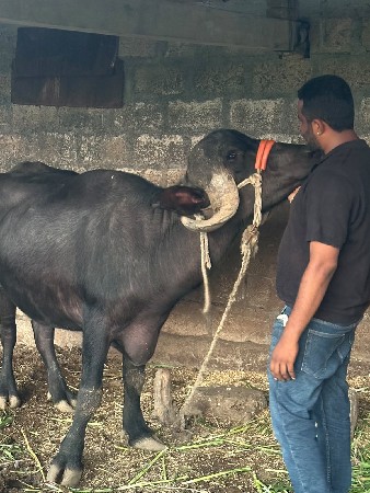 3 વર્ષ ની ખડાઈ