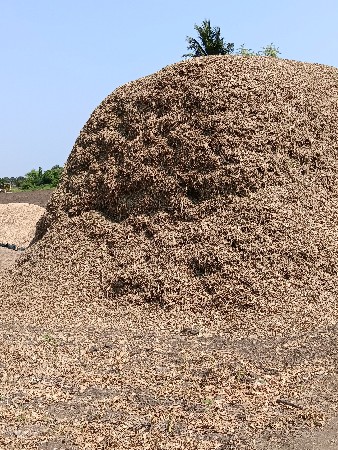 ચારો વેચવાનો છે