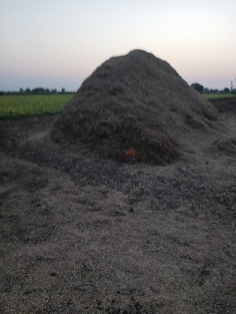 જી. ૨૦ મગફ‌ળીનો ‌ભુકો