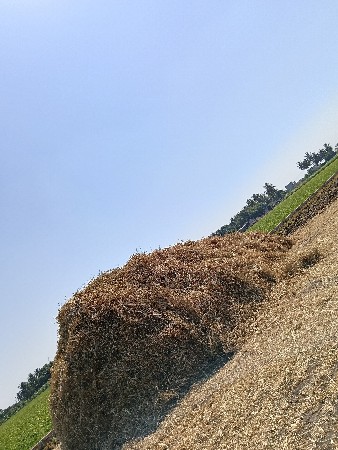 ડાંગર નું ગોતર વેચવાનું છે