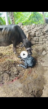 વેચવાની છે