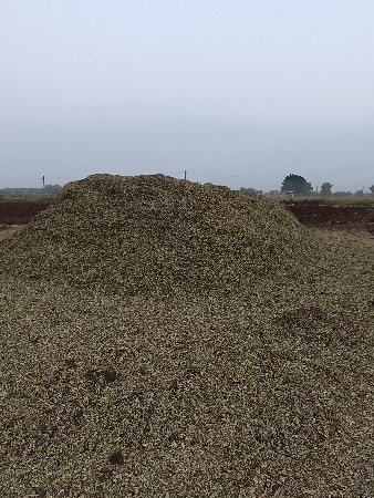 ભુકો વેચવાનો