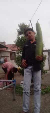 v