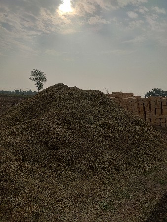 માંડવી નો ભુકો બેસવાનો છે
