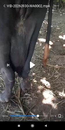 ત્રીજું વેતર સે લંબાઇ ઉસાય પુરી