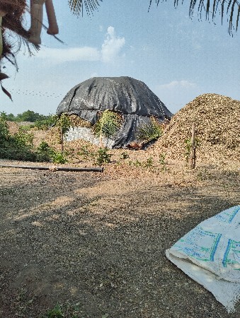 માંડવી વેચવાનું