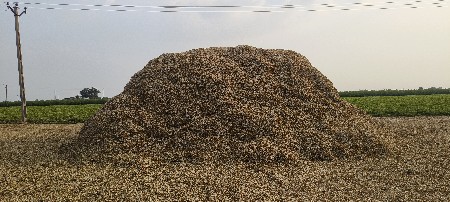 ભૂકો વેચવાનો છે 10 વીઘા