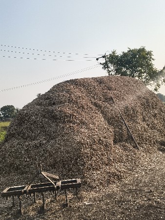 જીવીસનોભૂકોદેવાનોસે
