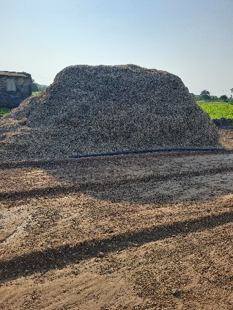 માંડવી નો ભુક્કો વેચવાનો છે