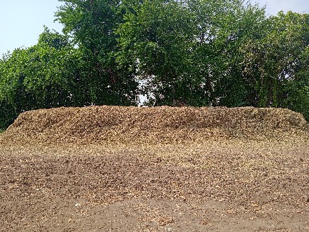 માંડવી નો ભૂકો વેસવાનો સે