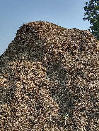 રવી ભાઈ 9904688566
