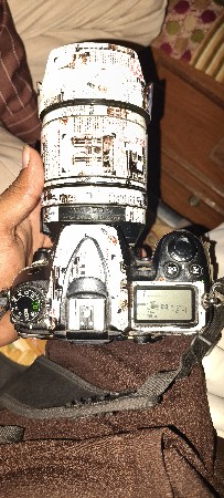nikon camera