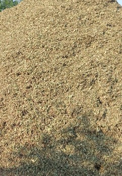 ભુકો વેચવાનો છે