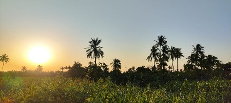 જમીનો વેચવાની છે