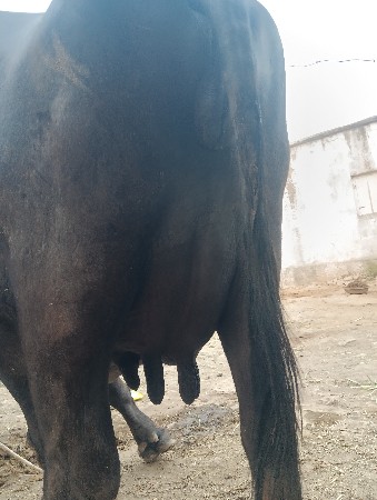 6352888436 આ નંબર પર કોલ કરો
