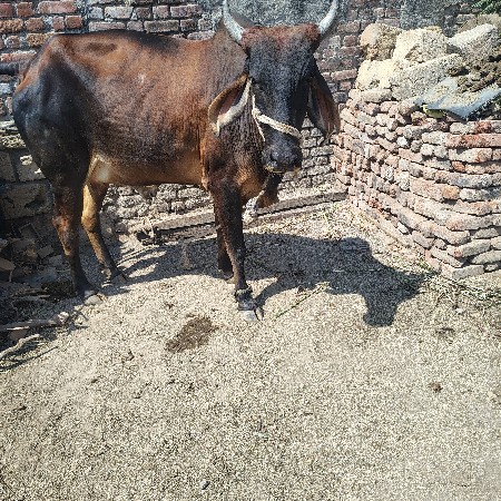 પેલું વેધર ઓળખી વેચવાની છે