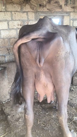બધીજ જવાબદારી