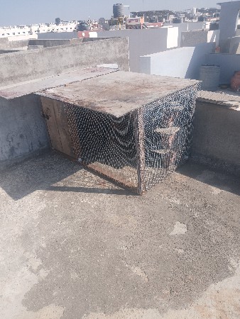 કબુતર નો ખડો વેચવાનો છે