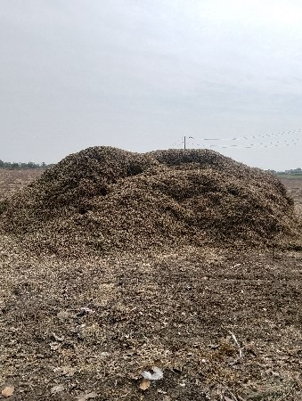 8 વીઘાનૂ ભુકો( મોગોટું )વેચવાનુ છે