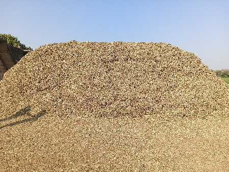 ભૂકો (પાલો) વેચવાનો છે