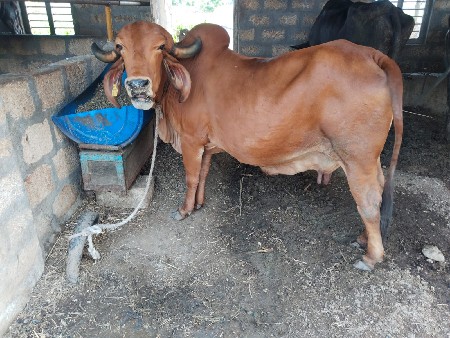 વેચવાની છે