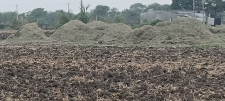 મગફળી નો ભૂકો વેચવાનો સે