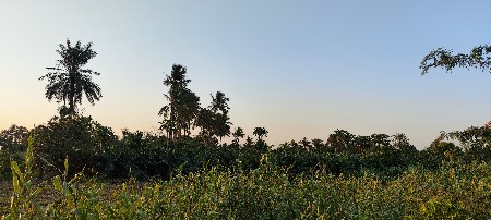 જમીન વેચવાની છે