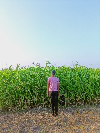 વેચવાનું
