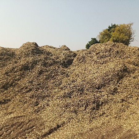 મગફળી નો લીલવણી પાલો વેચવાનો છે