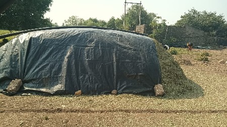 મગફળી નો પાલો વેચવાનો છે