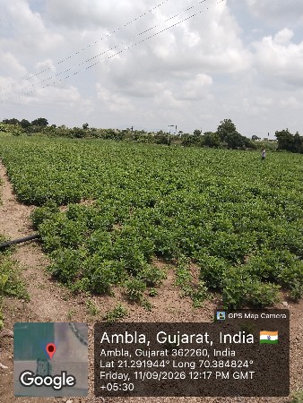 જમીન વેચવાની છે