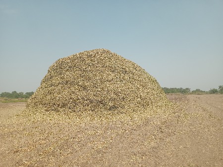 ભૂકો (પાલો) વેચવાનો છે