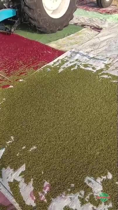વિડિઓ પોસ્ટર 7