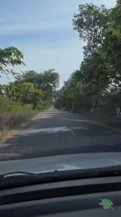 वीडियो पोस्टर 3