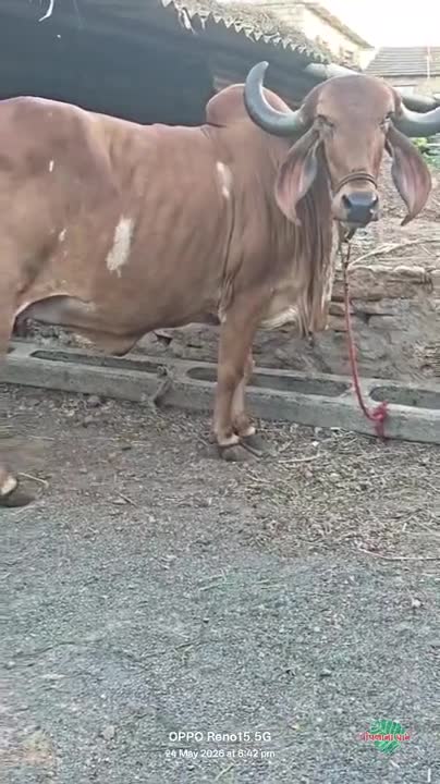 વિડિઓ પોસ્ટર 6