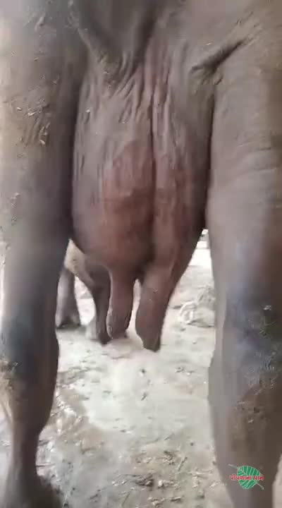 વિડિઓ પોસ્ટર 3