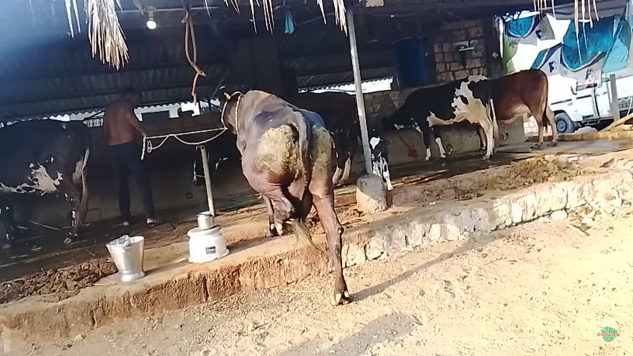 वीडियो पोस्टर 3