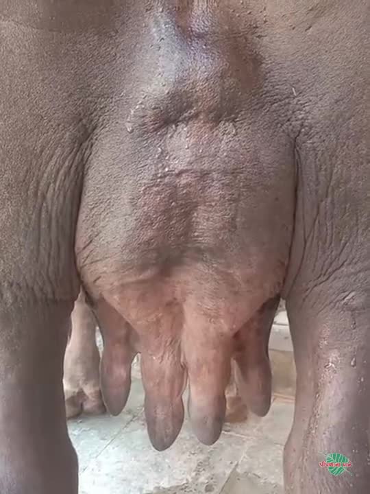વિડિઓ પોસ્ટર 7
