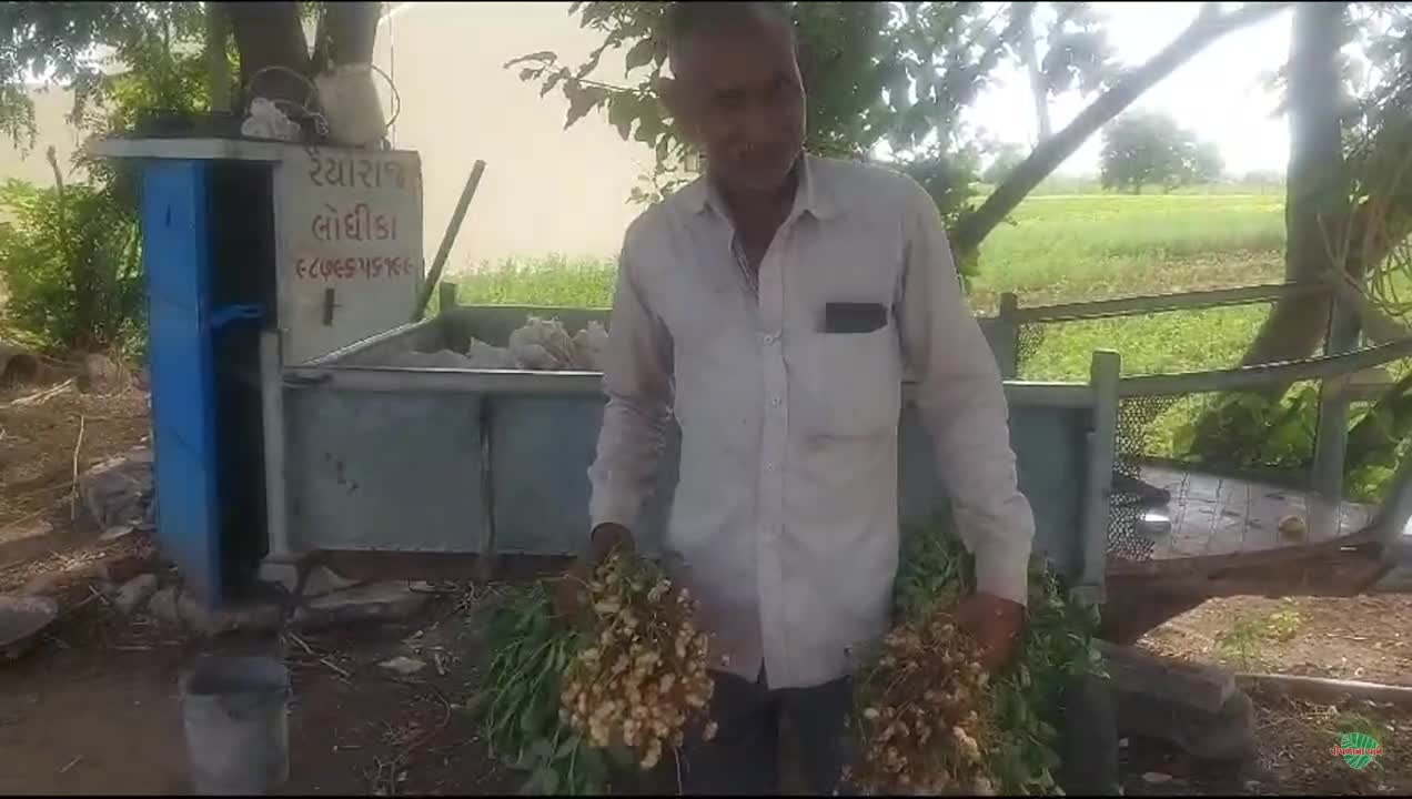 વિડિઓ પોસ્ટર 4