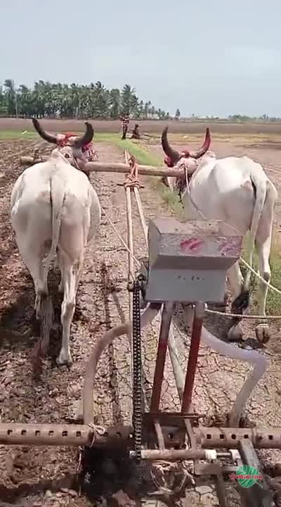 વિડિઓ પોસ્ટર 3