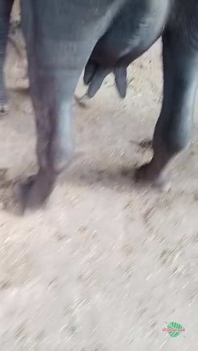 વિડિઓ પોસ્ટર 3